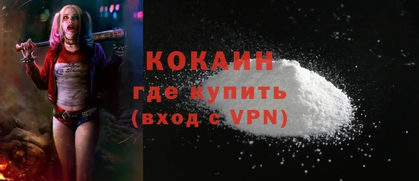 трава Карпинск