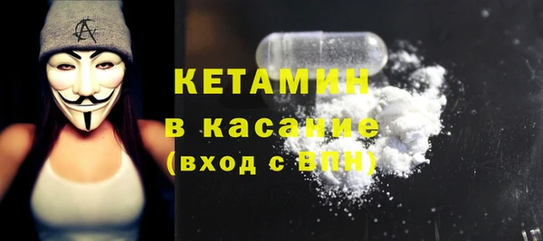 трава Карпинск