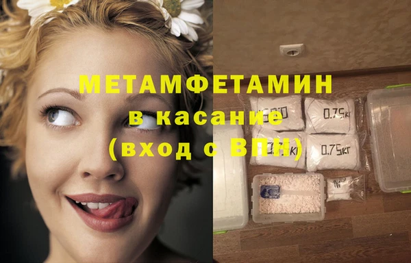 трава Карпинск