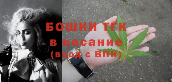 трава Карпинск