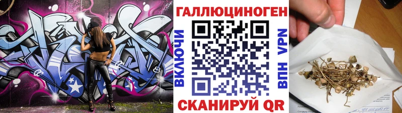 Галлюциногенные грибы Psilocybe  сайты даркнета клад  Евпатория 